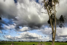 2208E軸承參數(shù),MRC軸承2208E重量