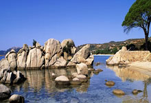 CCFH 3 1/4 SB軸承參數(shù),MCGILL軸承CCFH 3 1/4 SB重量